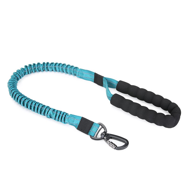Dog Elastic Traction Rope for large dogs