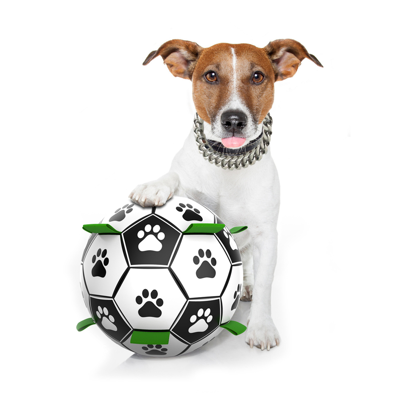 Durable Dog Toy