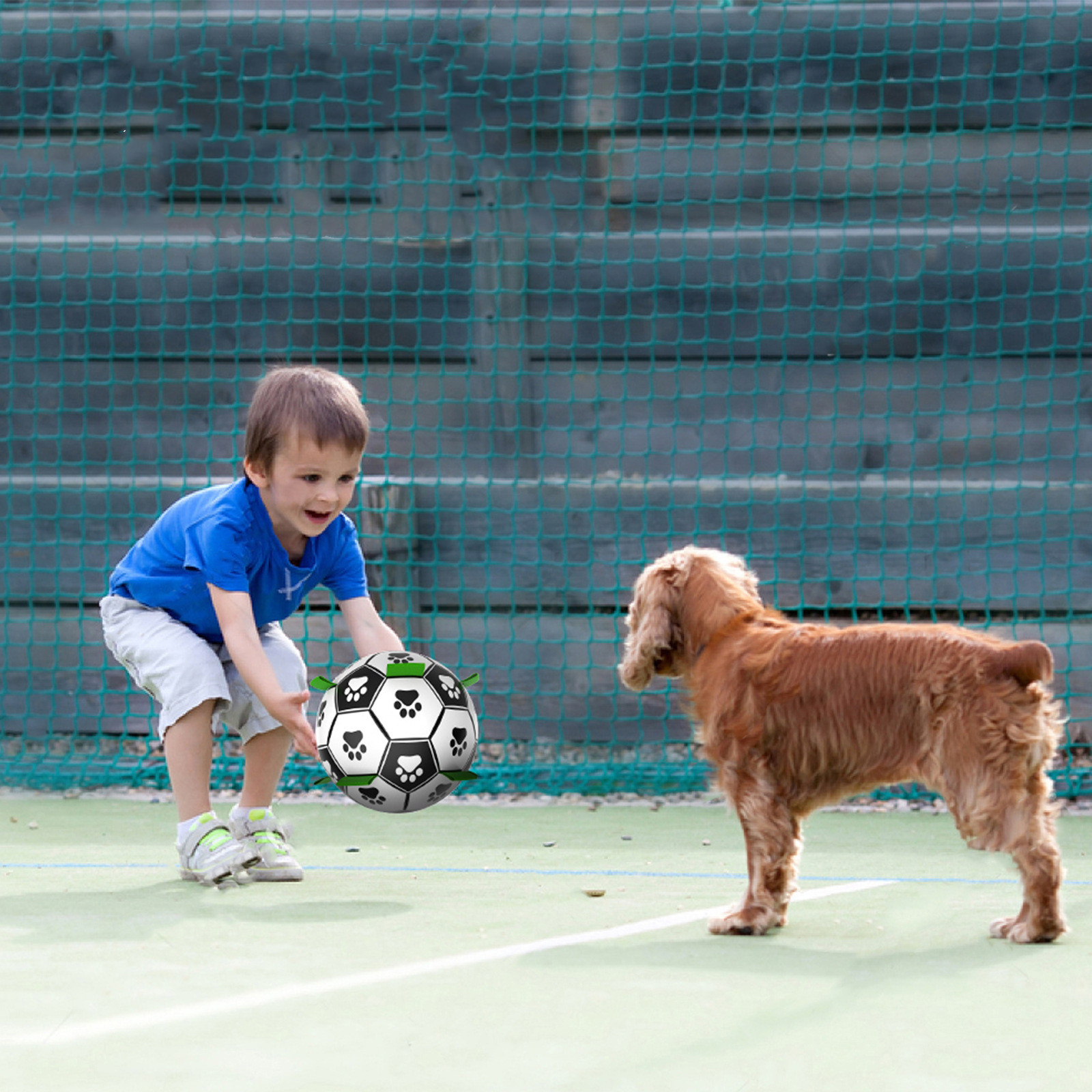 Interactive Play with Dog Toy