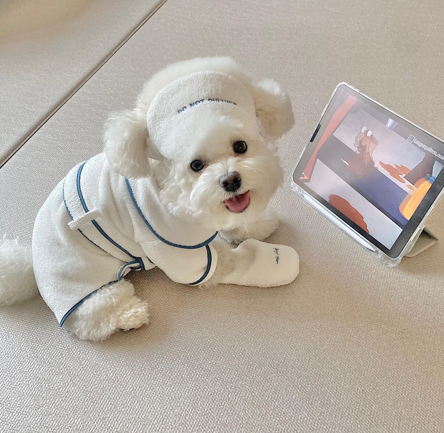 Cozy Pet Bathrobe