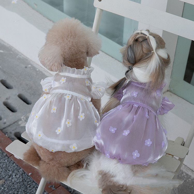 Stylish Dog in Flower Skirt