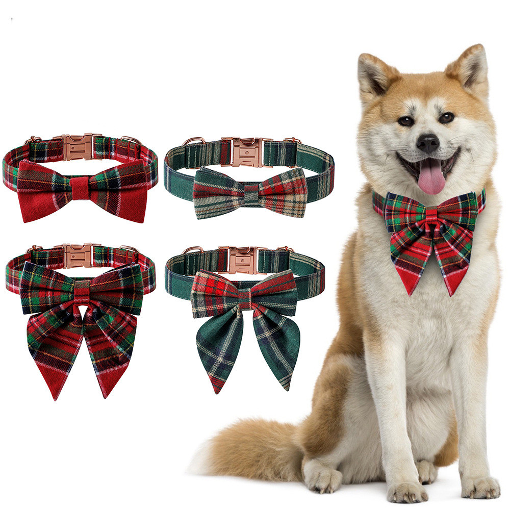Dog Collar 2