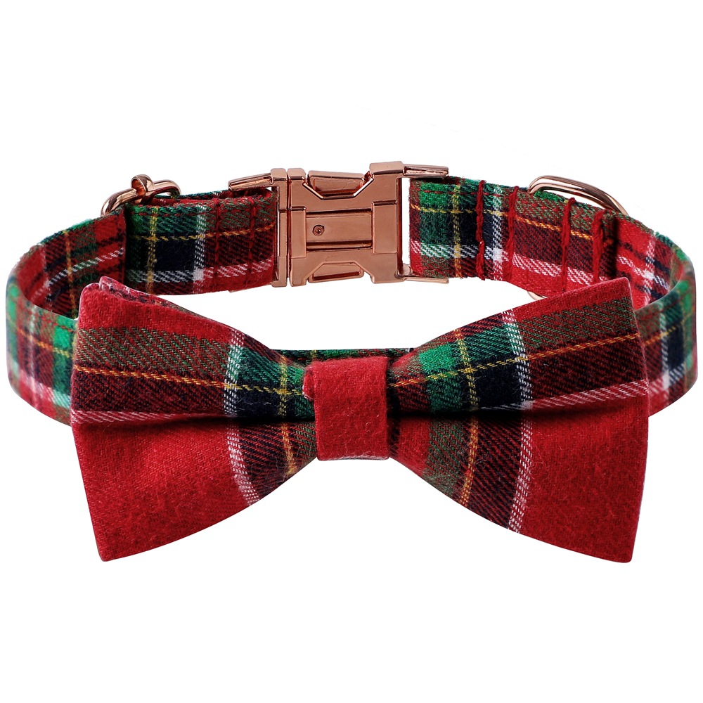 Dog Collar 1