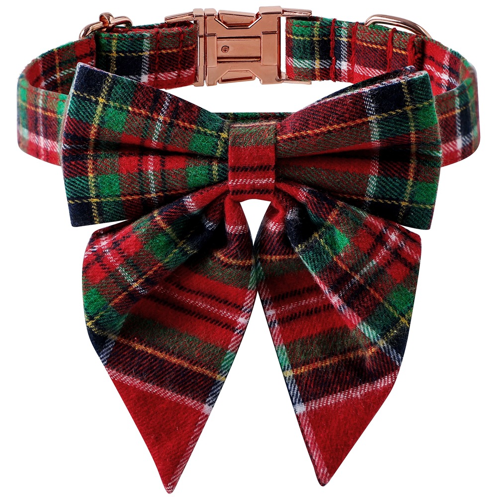 Dog Collar 4
