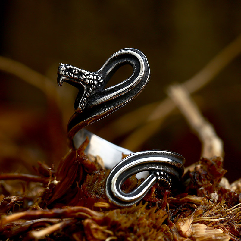 Stylish Snake Design