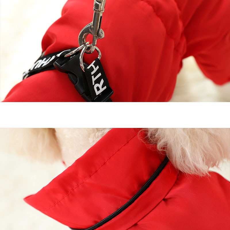 Dog Outfit 3