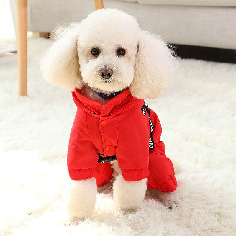 Dog Outfit 4