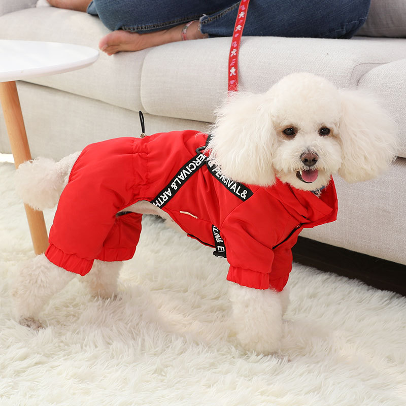 Dog Outfit 1