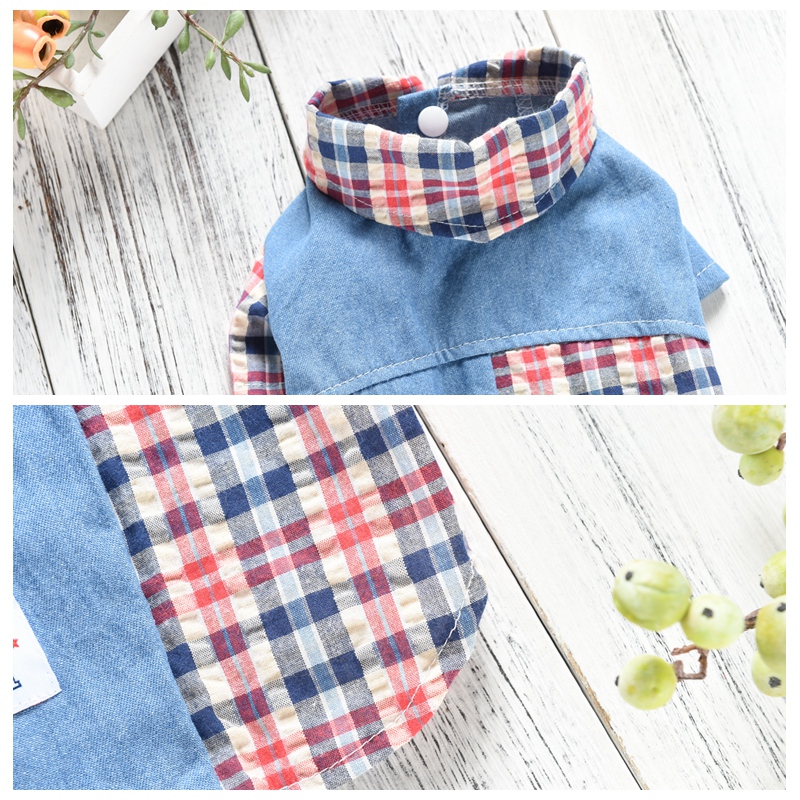 Teddy Dog Shirt Color Options