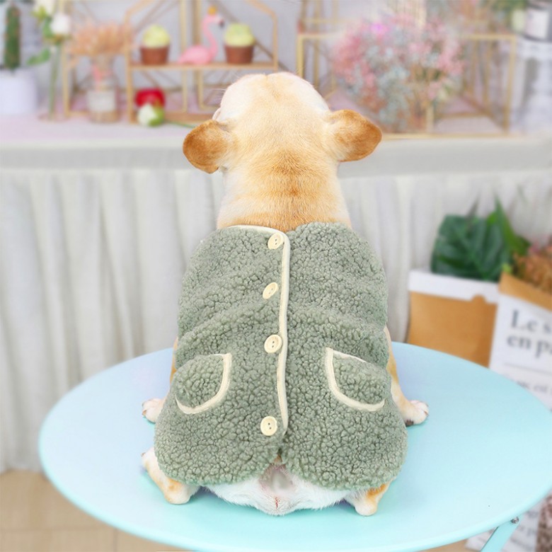 Dog in Vest