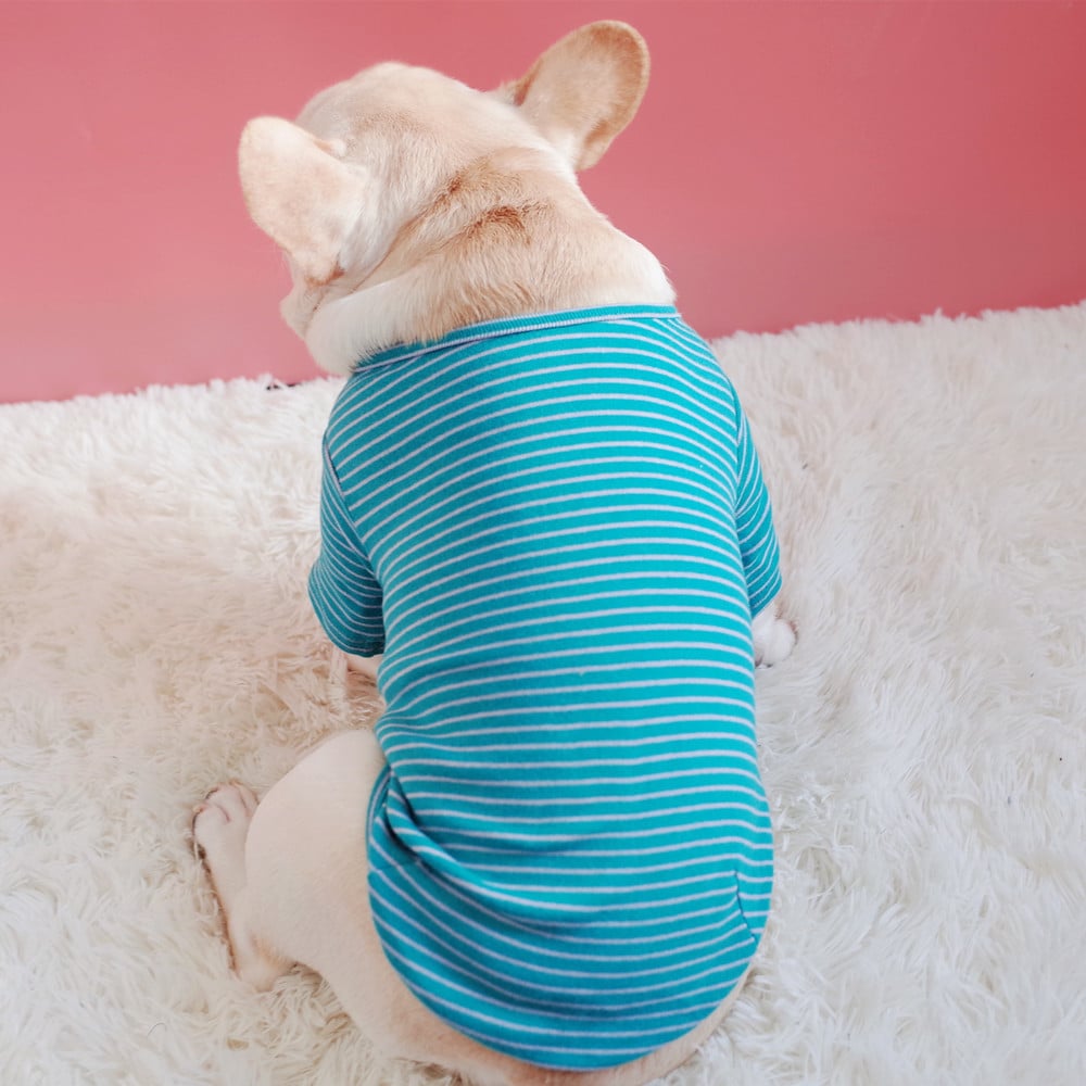 Cotton Stretch Padded Striped T-shirt Color Variation