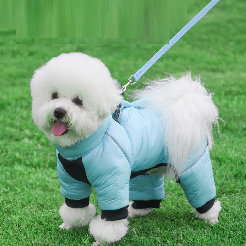 Dog Down Jacket 8