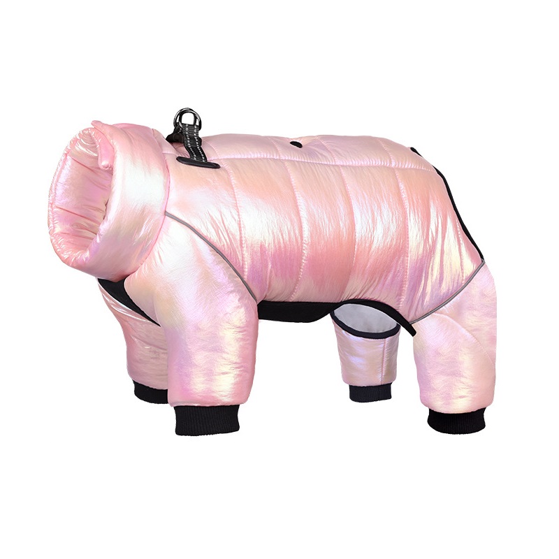 Dog Down Jacket 5
