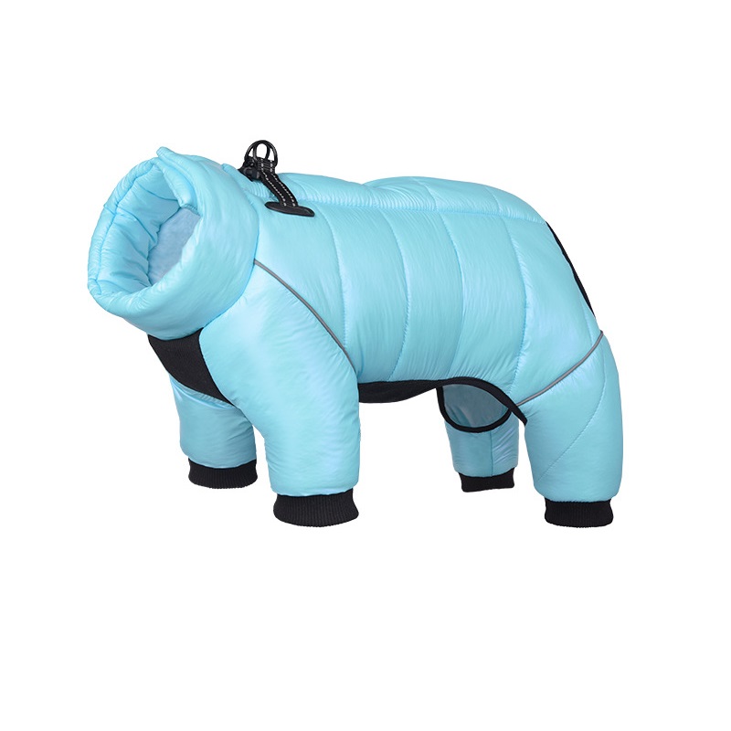 Dog Down Jacket 1