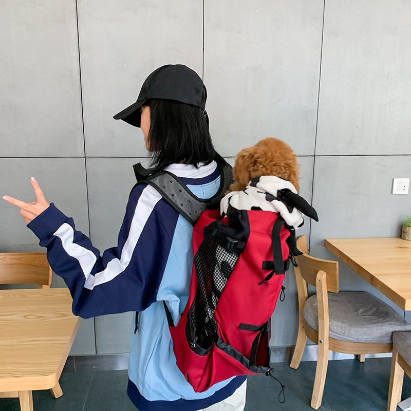 Pet Backpack 1