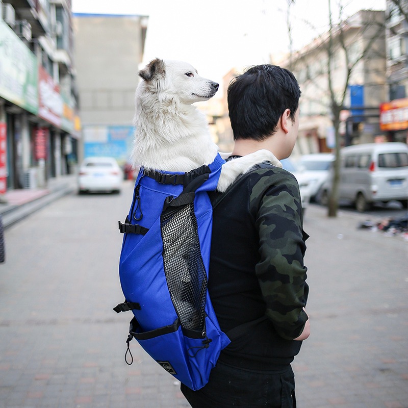 Pet Backpack 2