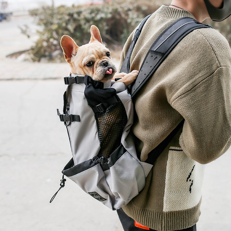 Pet Backpack 6
