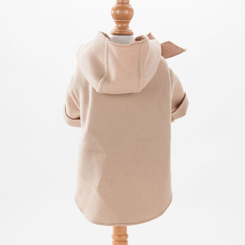 Pet looking cute in coat