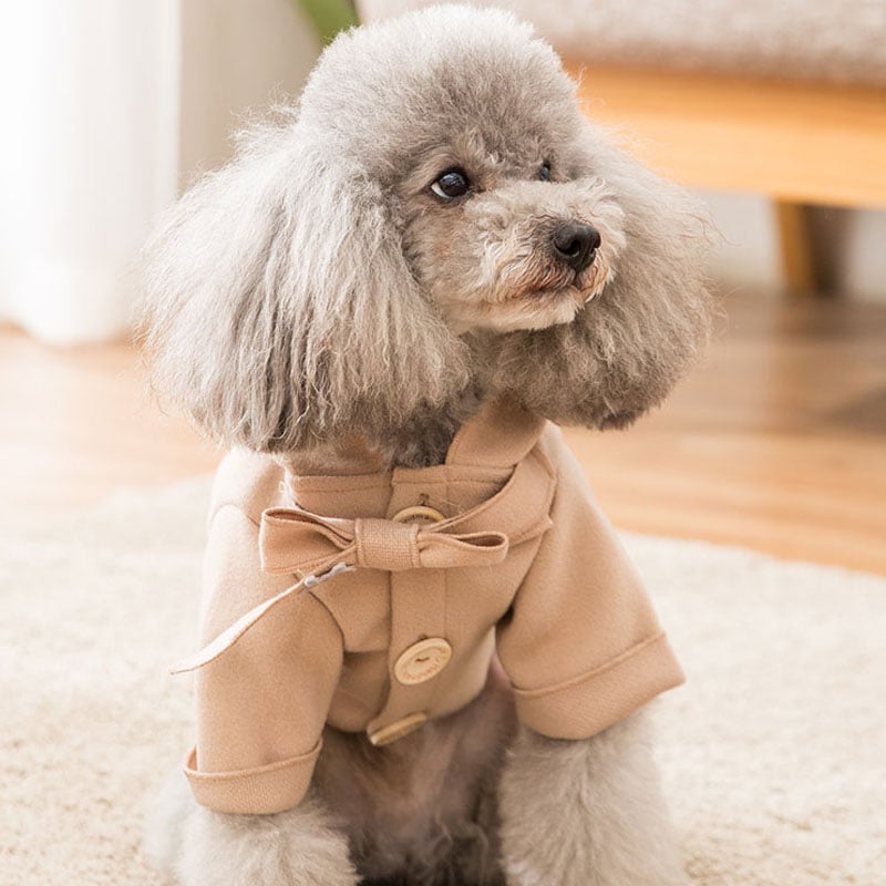 Stylish Winter Coat for Pets