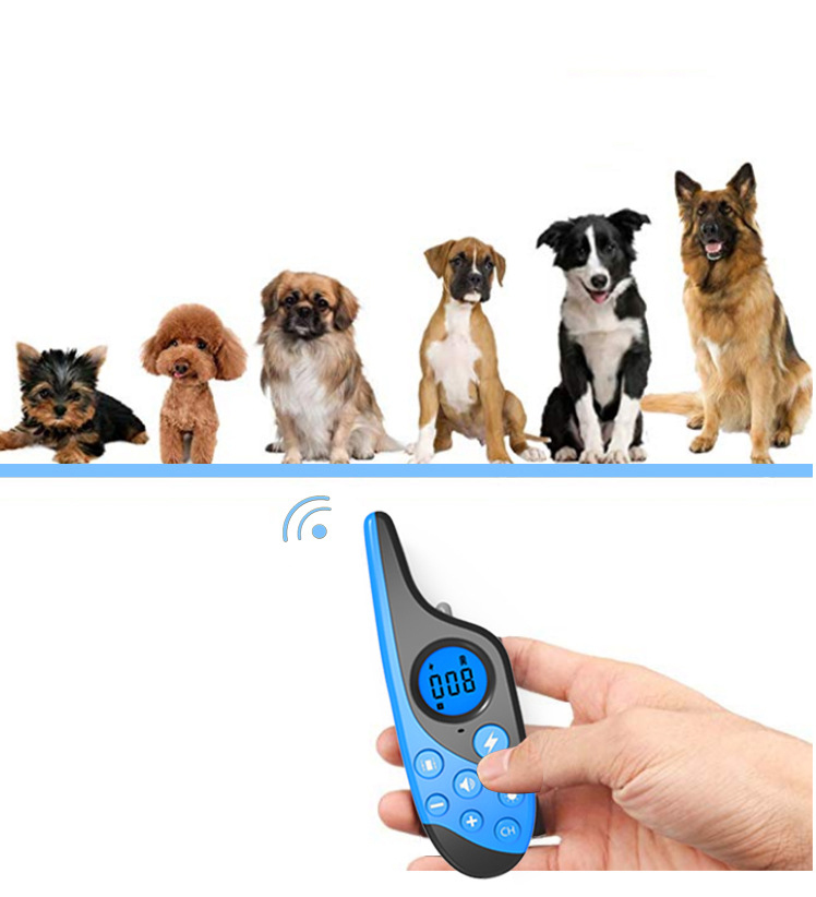 Dog Training Device Image 4