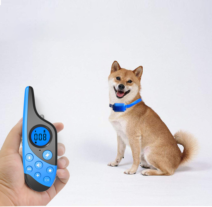 Dog Training Device Image 5