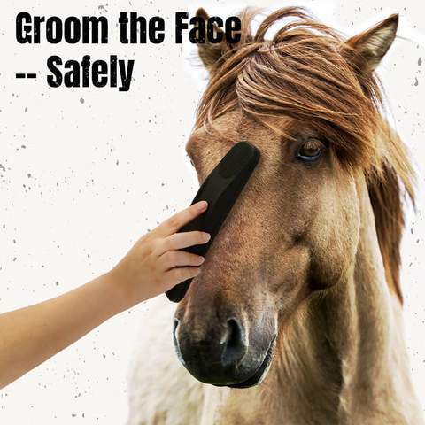 Horse Brush Image 5