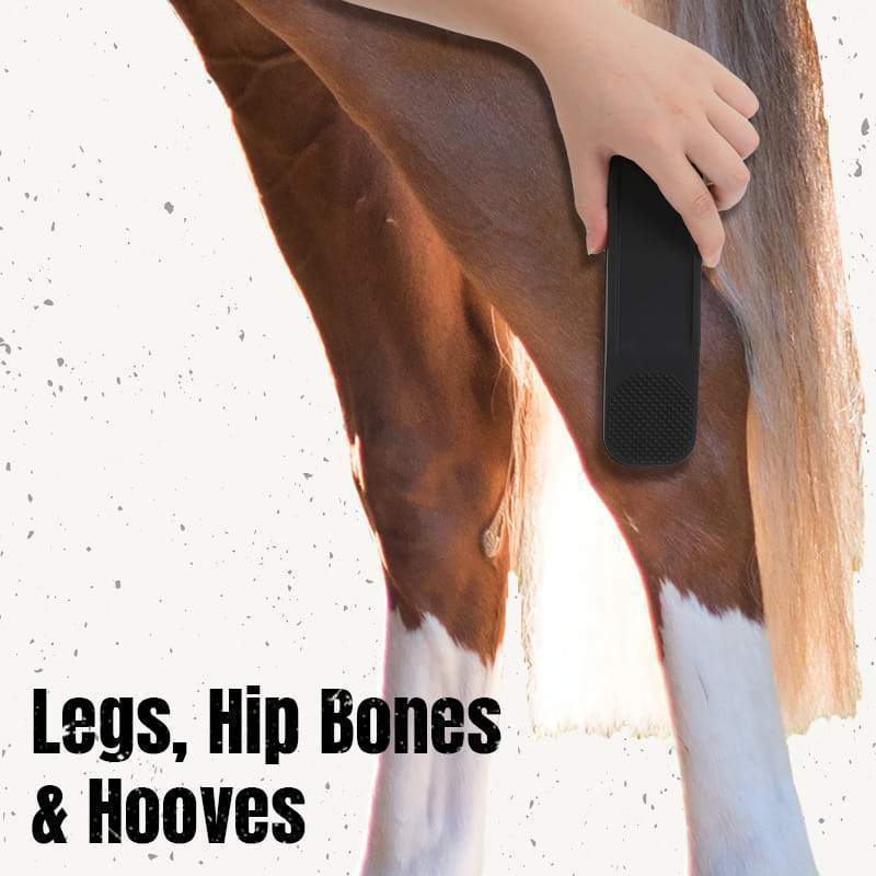 Horse Brush Image 2