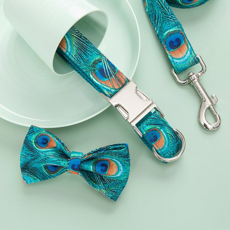 Custom Lettering Dog Collar