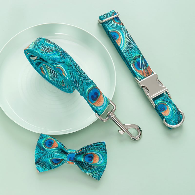 Custom Lettering Dog Collar