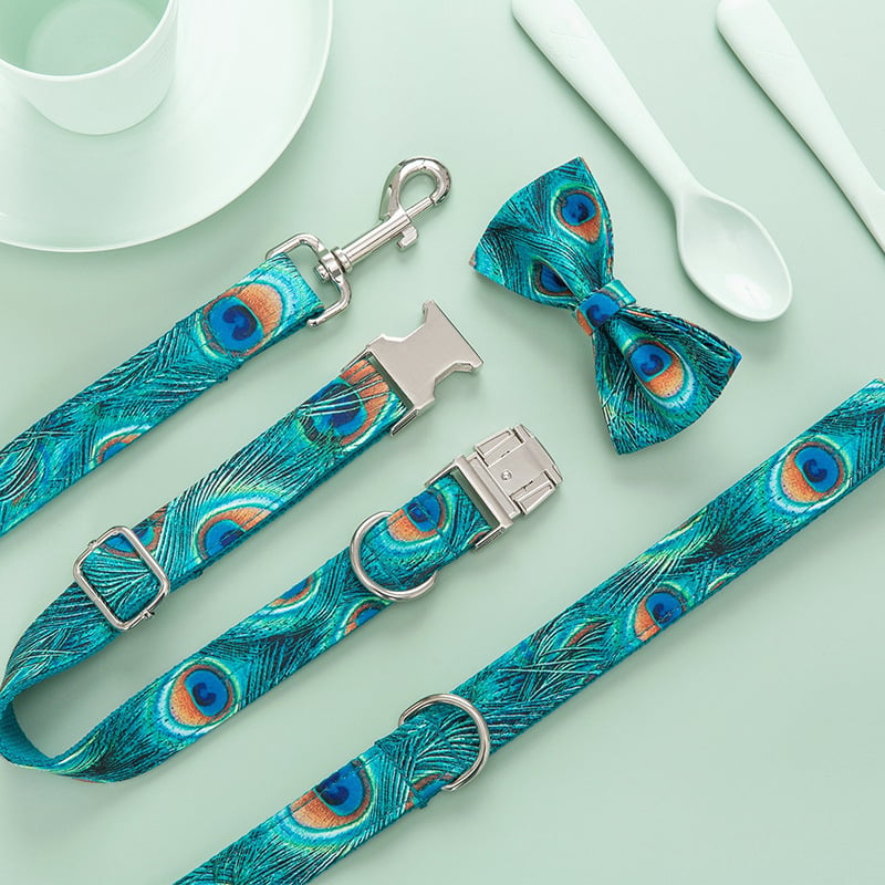 Custom Lettering Dog Collar