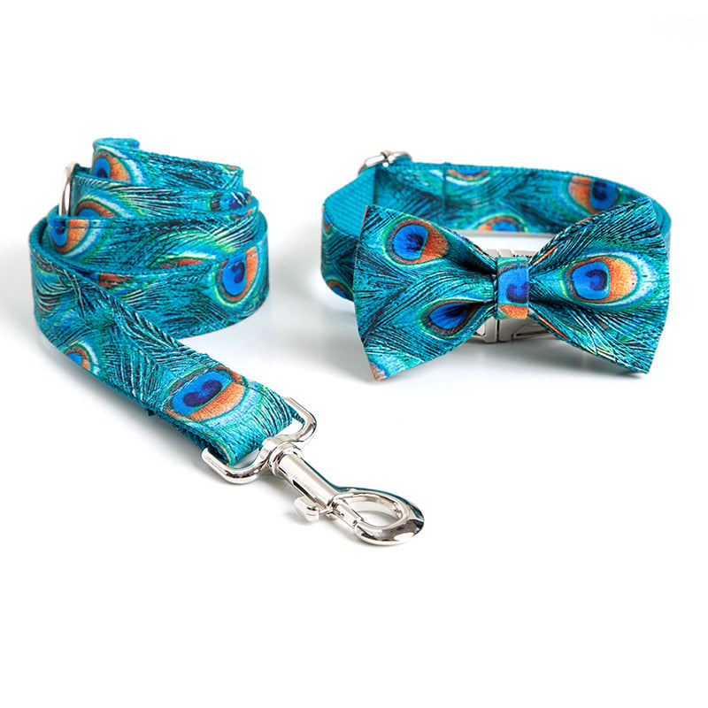 Custom Lettering Dog Collar