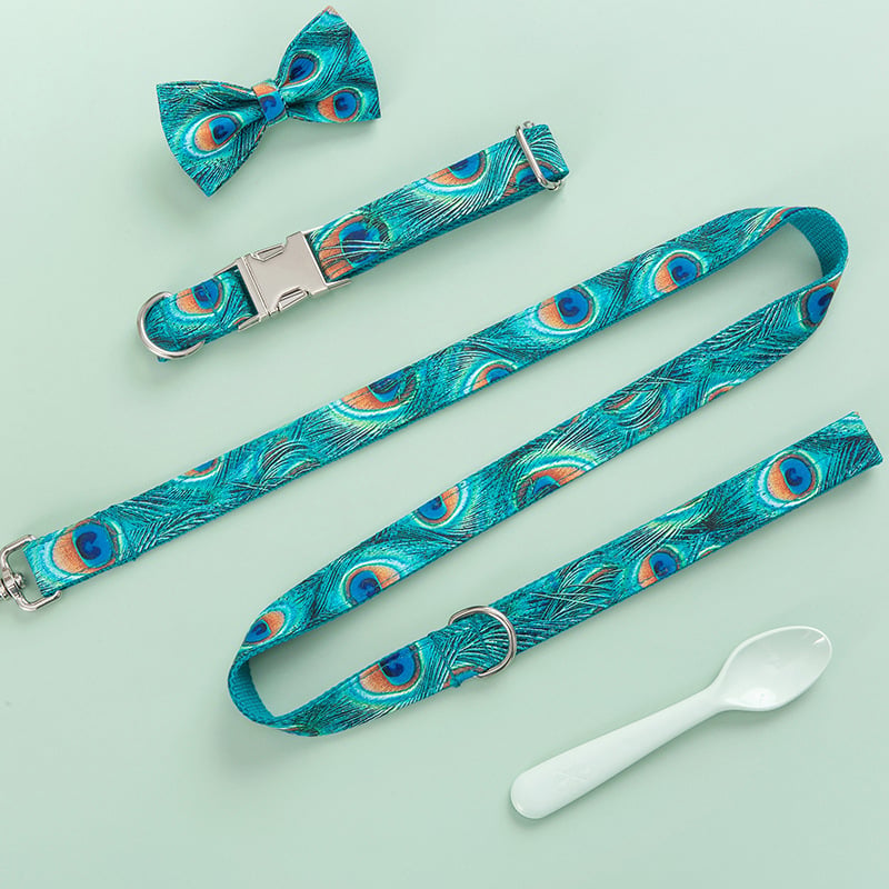 Custom Lettering Dog Collar