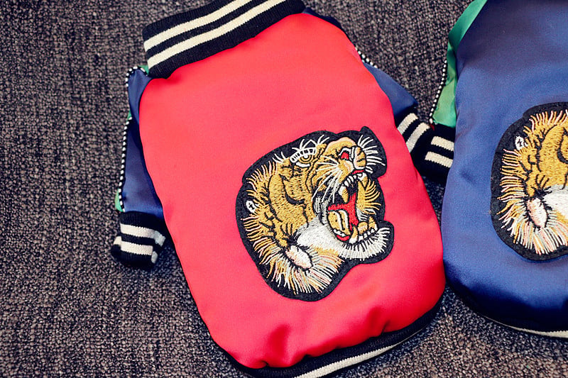 Blue Tiger Head Pet Clothes