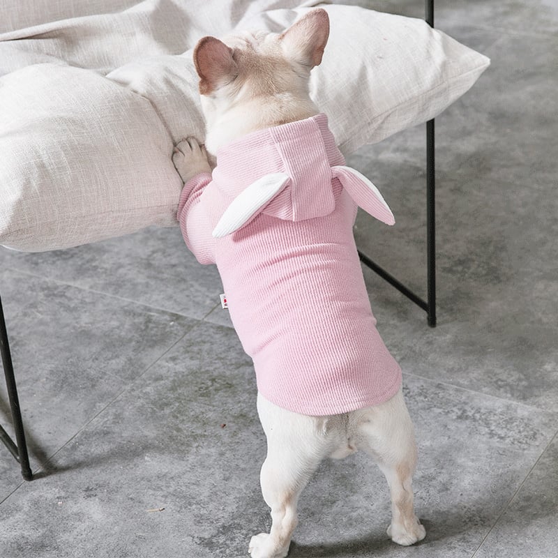 Dog Clothes 4