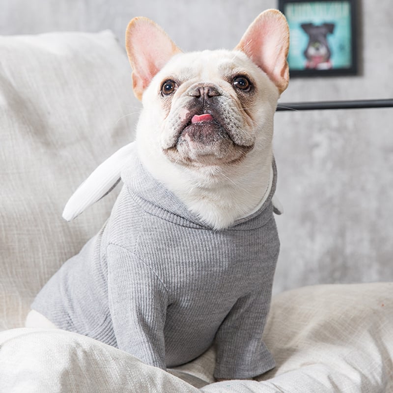 Dog Clothes 2