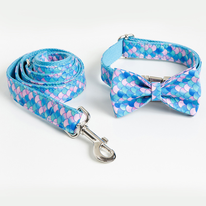 Custom Lettering Dog Collar Style 3