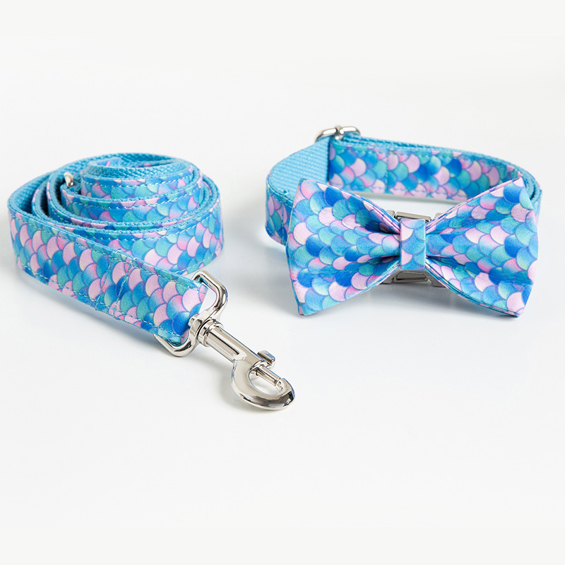 Custom Lettering Dog Collar Style 5