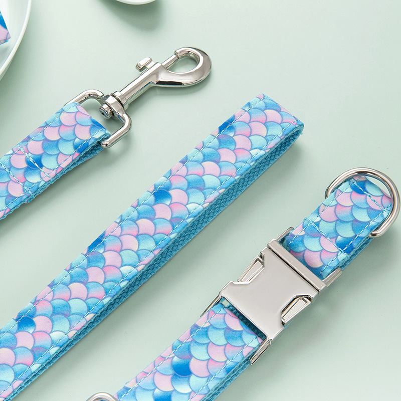 Custom Lettering Dog Collar Style 2