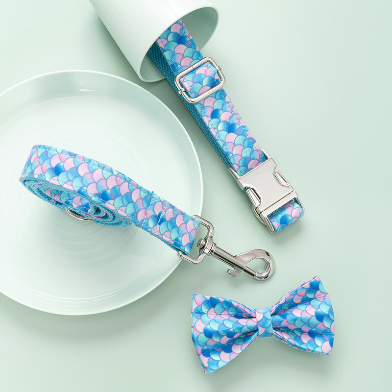 Custom Lettering Dog Collar Style 1