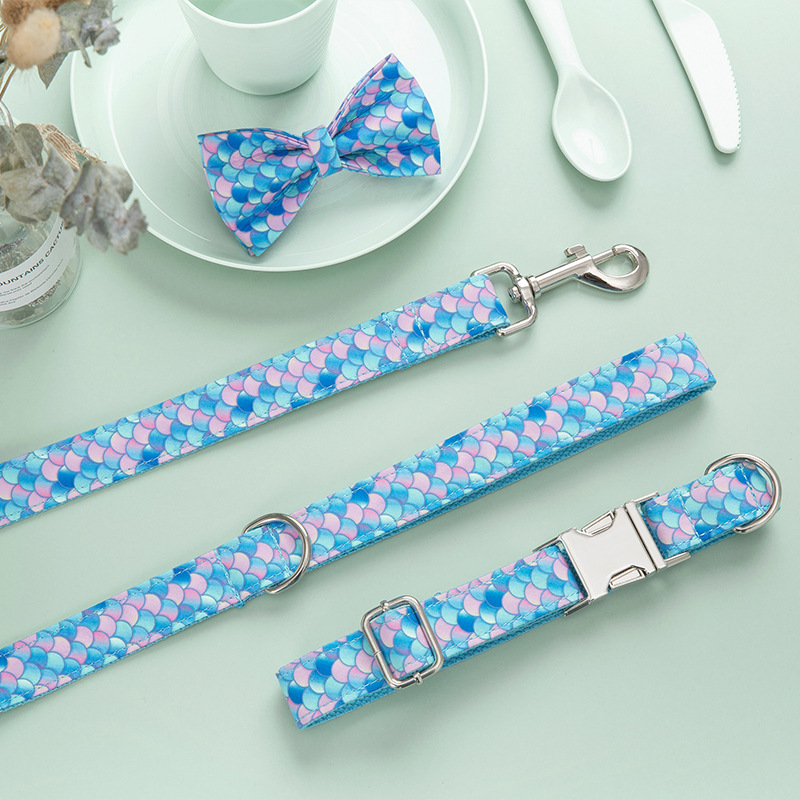 Custom Lettering Dog Collar Style 4