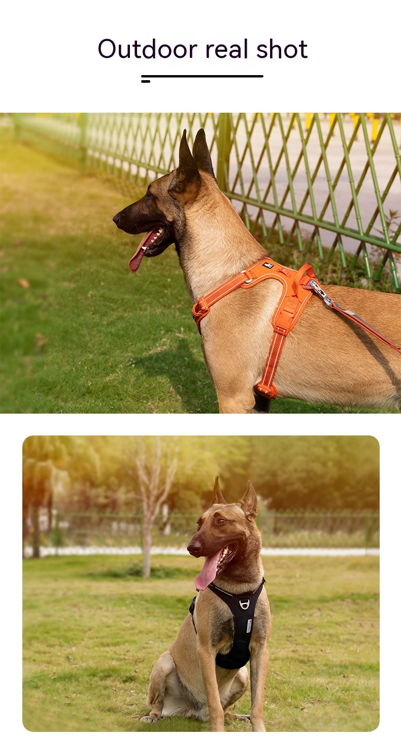 Dogs Pet Harness 7