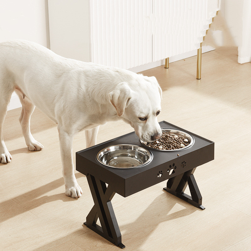 Dog Bowl Image 6