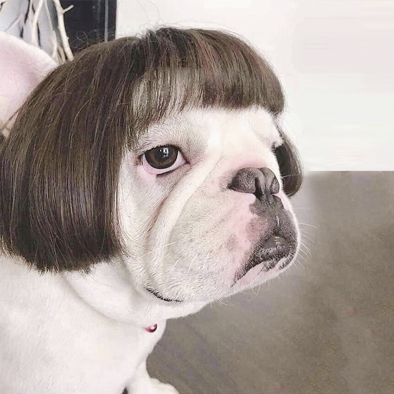 Toshomono Wig Style 6