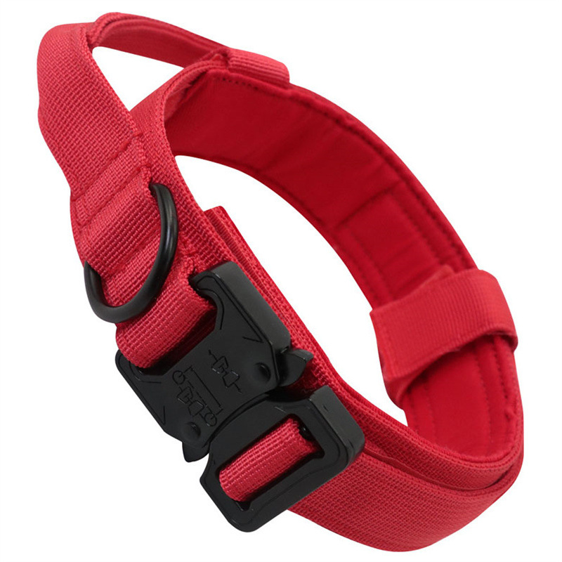 Fashion Personalized Tactical Dog Collar 1