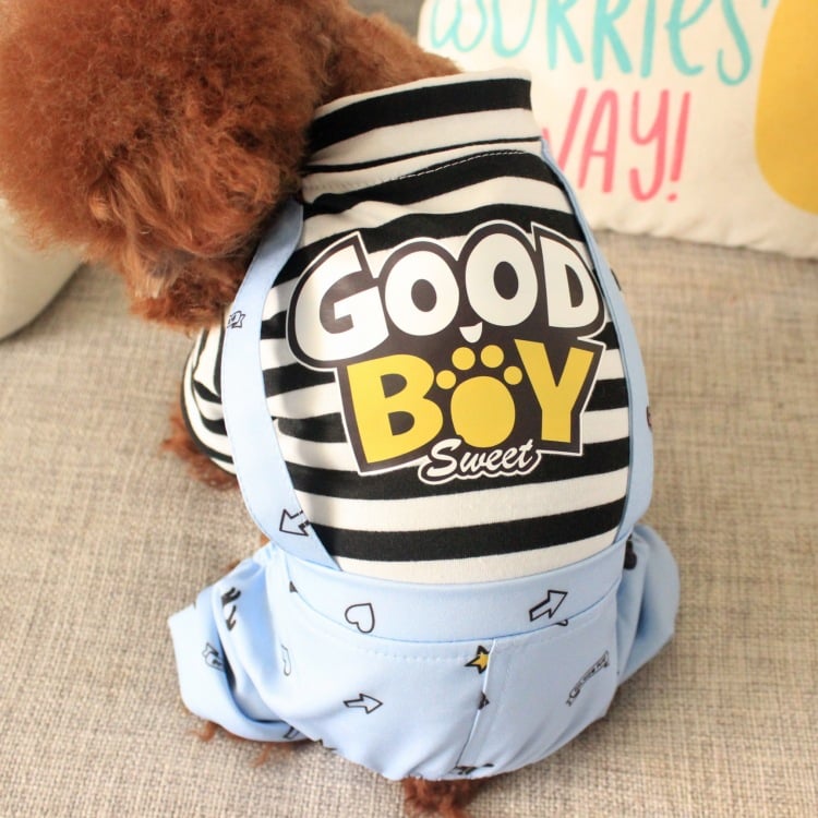 Dog modeling stylish summer shirt
