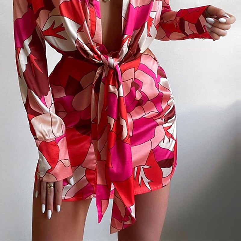 Women's Lapel Print Long Sleeve Dress Image 4