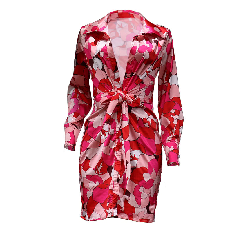 Women's Lapel Print Long Sleeve Dress Image 5