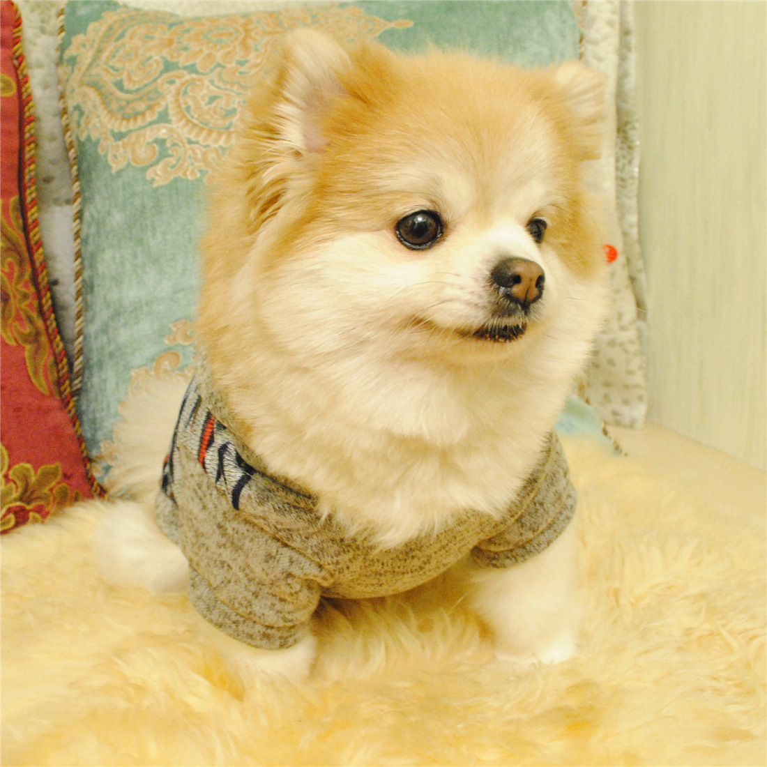 Dog sweater image 12