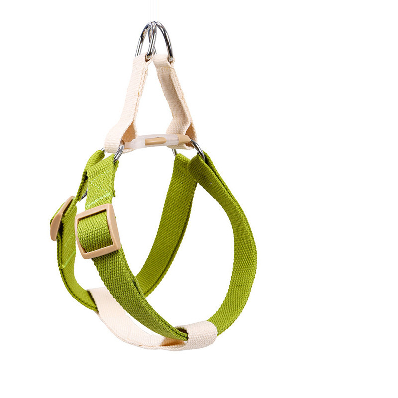 Comfortable dog leash