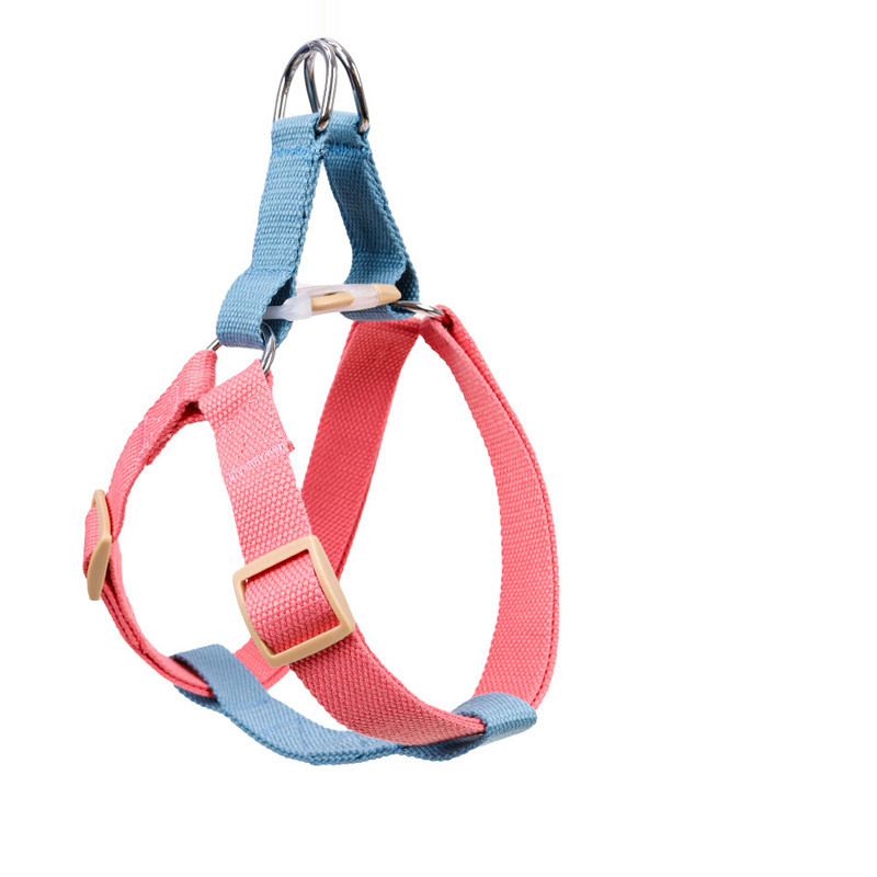 Various colors of dog leash